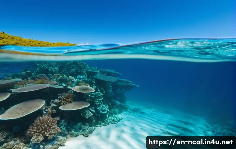 누벨칼레도니 해양 안전 규칙 관련 이미지 1