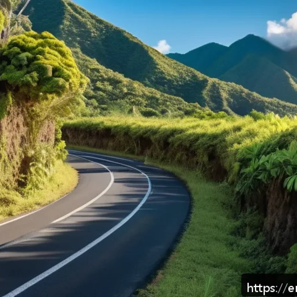 누벨칼레도니 교통사고 사례 - A narrow, winding rural road in New Caledonia during daylight, featuring dense tropical vegetation o...