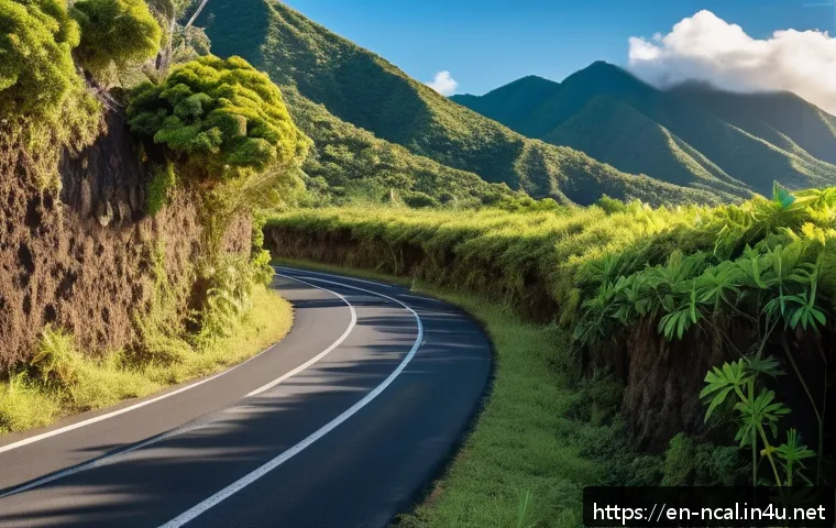 누벨칼레도니 교통사고 사례 - A narrow, winding rural road in New Caledonia during daylight, featuring dense tropical vegetation o...